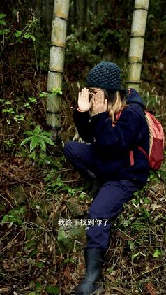 关于顶流如何崛起,曾经的顶流真的过时了吗