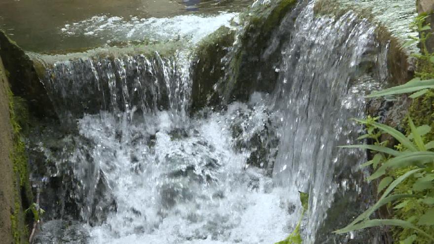 党建引领助力村民走上致富路,党建引领产业兴村