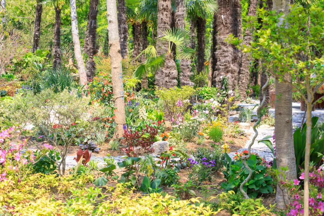 合庆郊野公园游玩攻略,合庆郊野公园二期