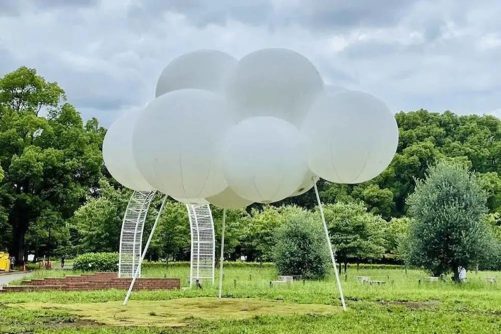 艺术欣赏自然之美,自然美和艺术的美