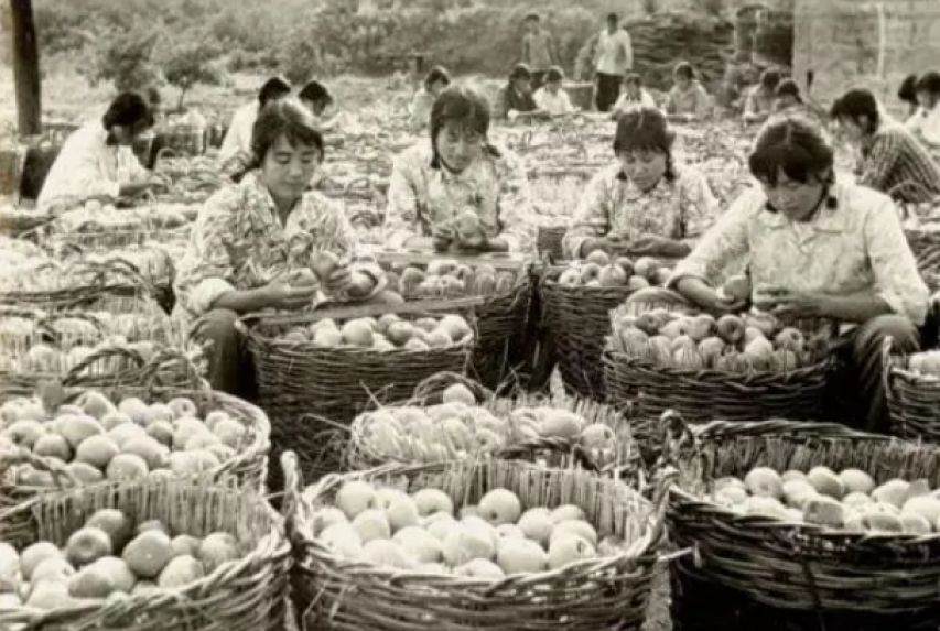 抗美援朝后中国还14年苏联军售，本是重担，为何成我军立军基石？