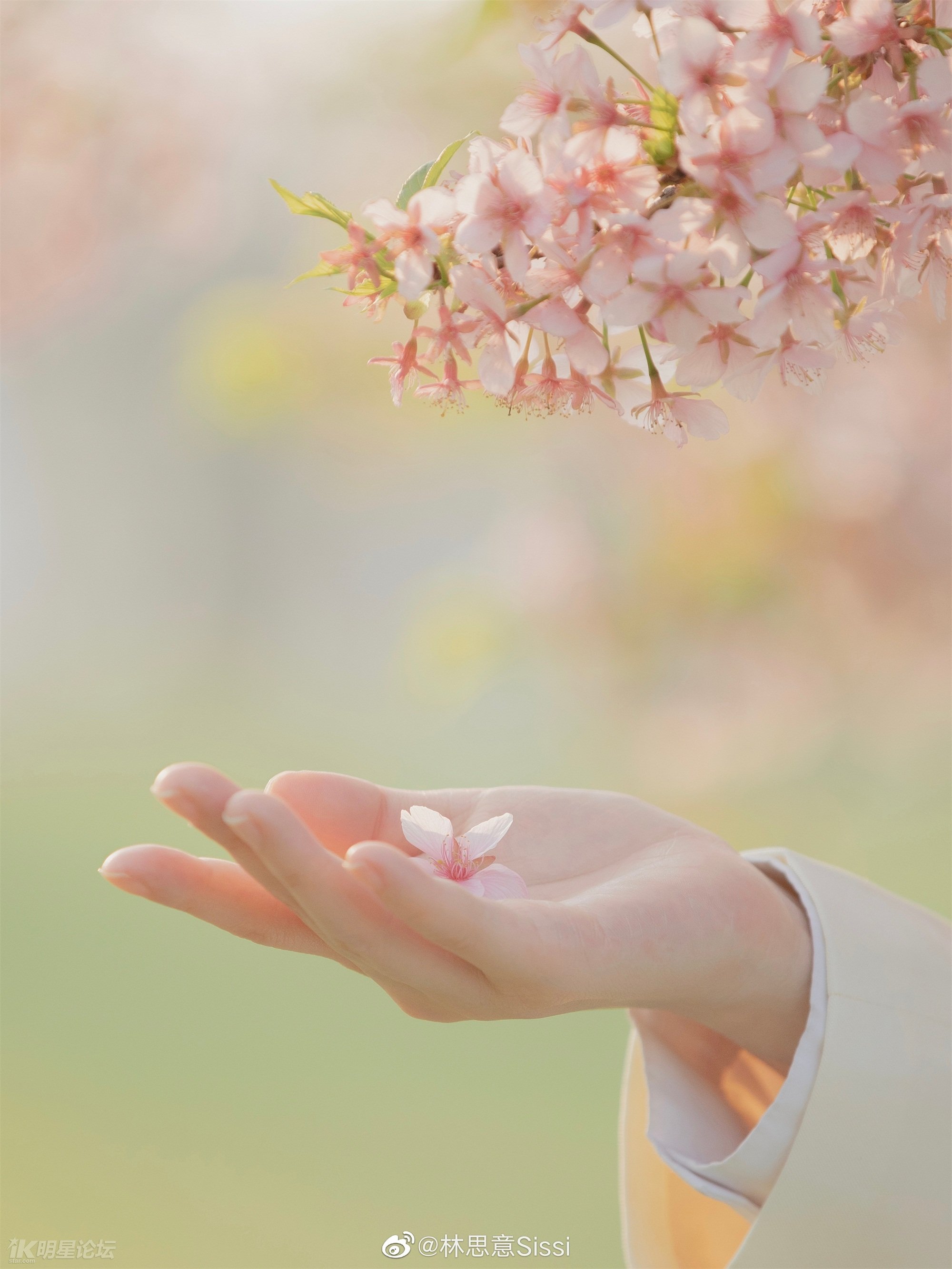 林思意闪亮的日子,林思意唱的所有的歌曲