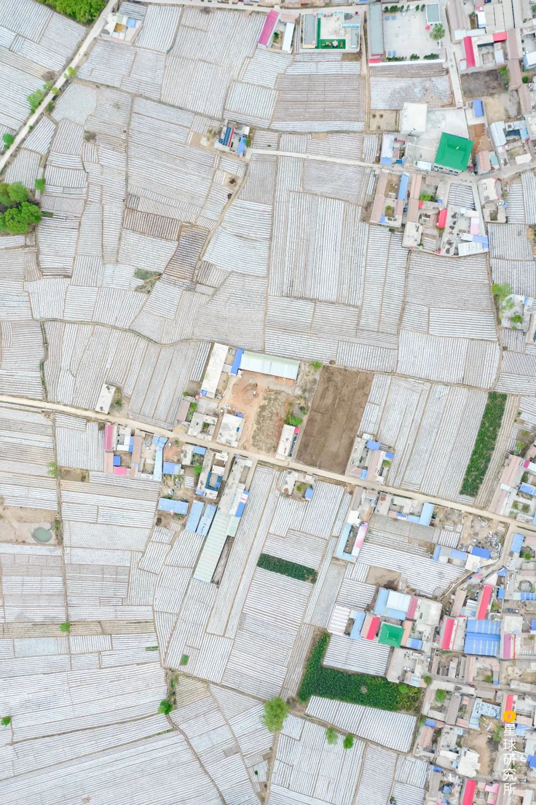 现在甘肃临夏的风景是真美,甘肃临夏有啥著名景点