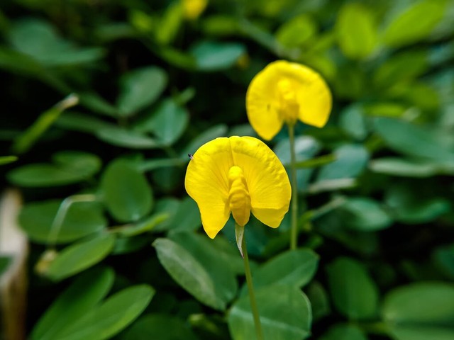 人生一条路,回首山无数。层林尽染山河故,残阳依旧西山入。