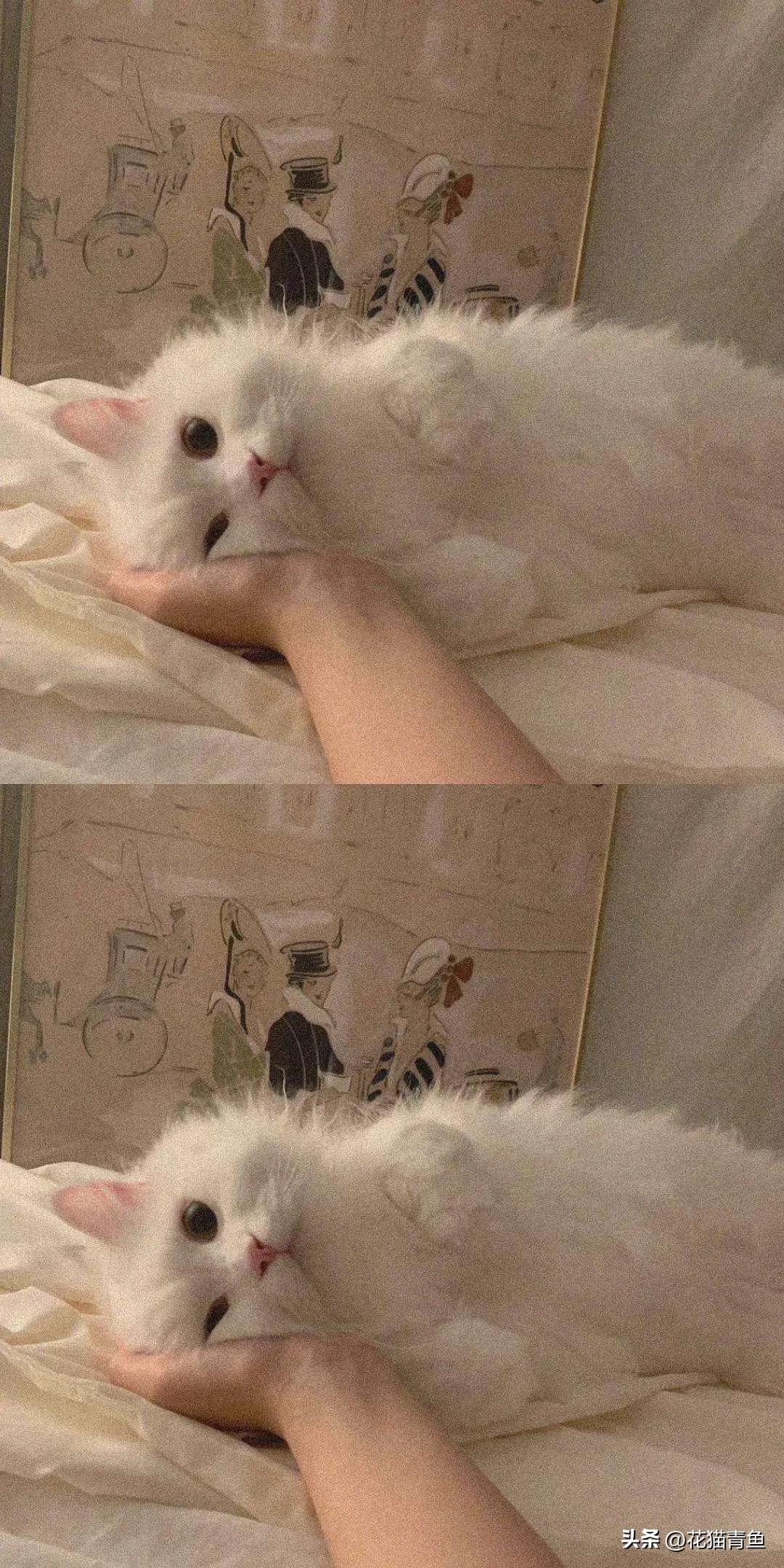 每次问你在干嘛就是我想你了文案,有一种想你叫你在干嘛文案