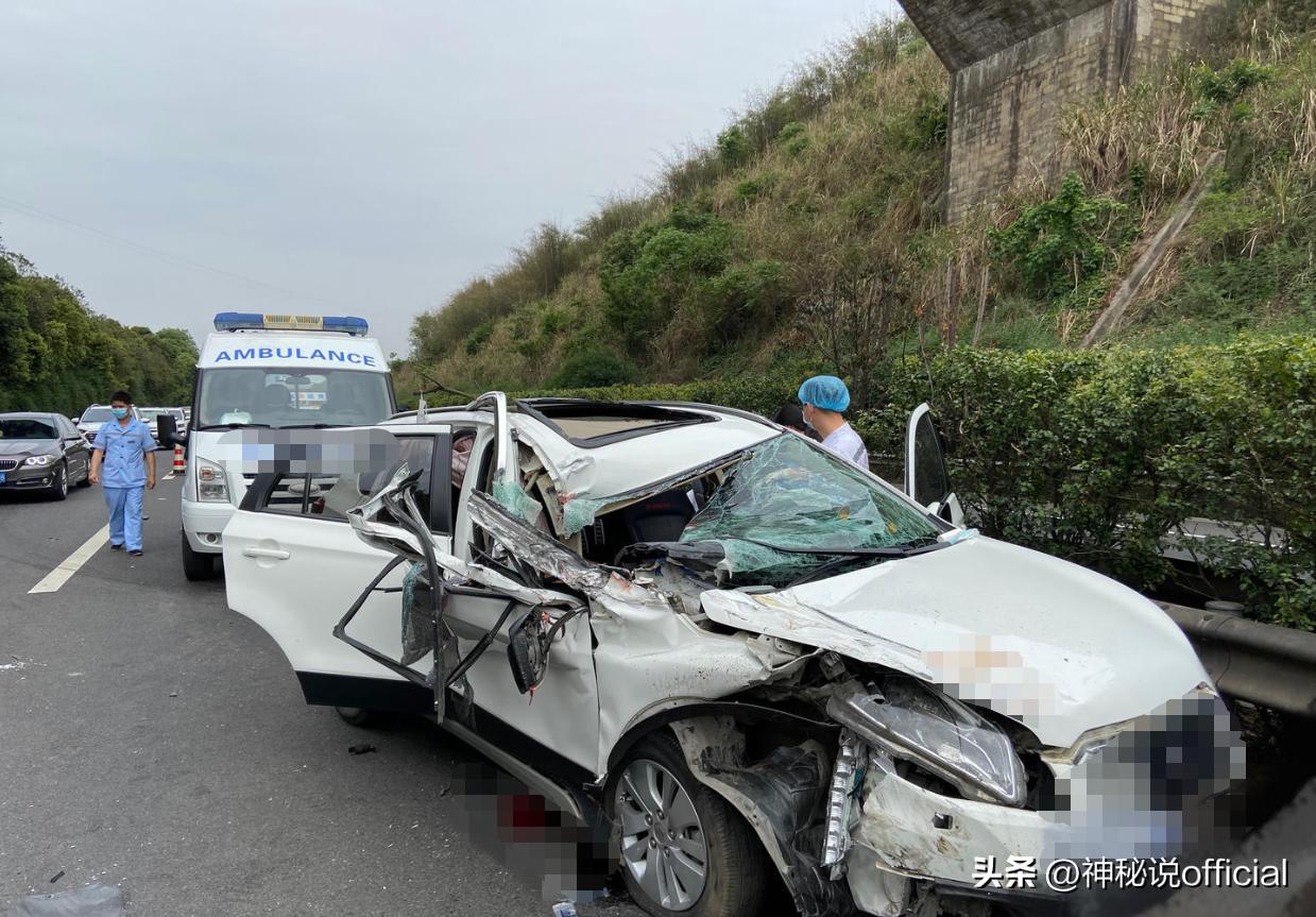 上海空姐出家,从空姐到出家为尼
