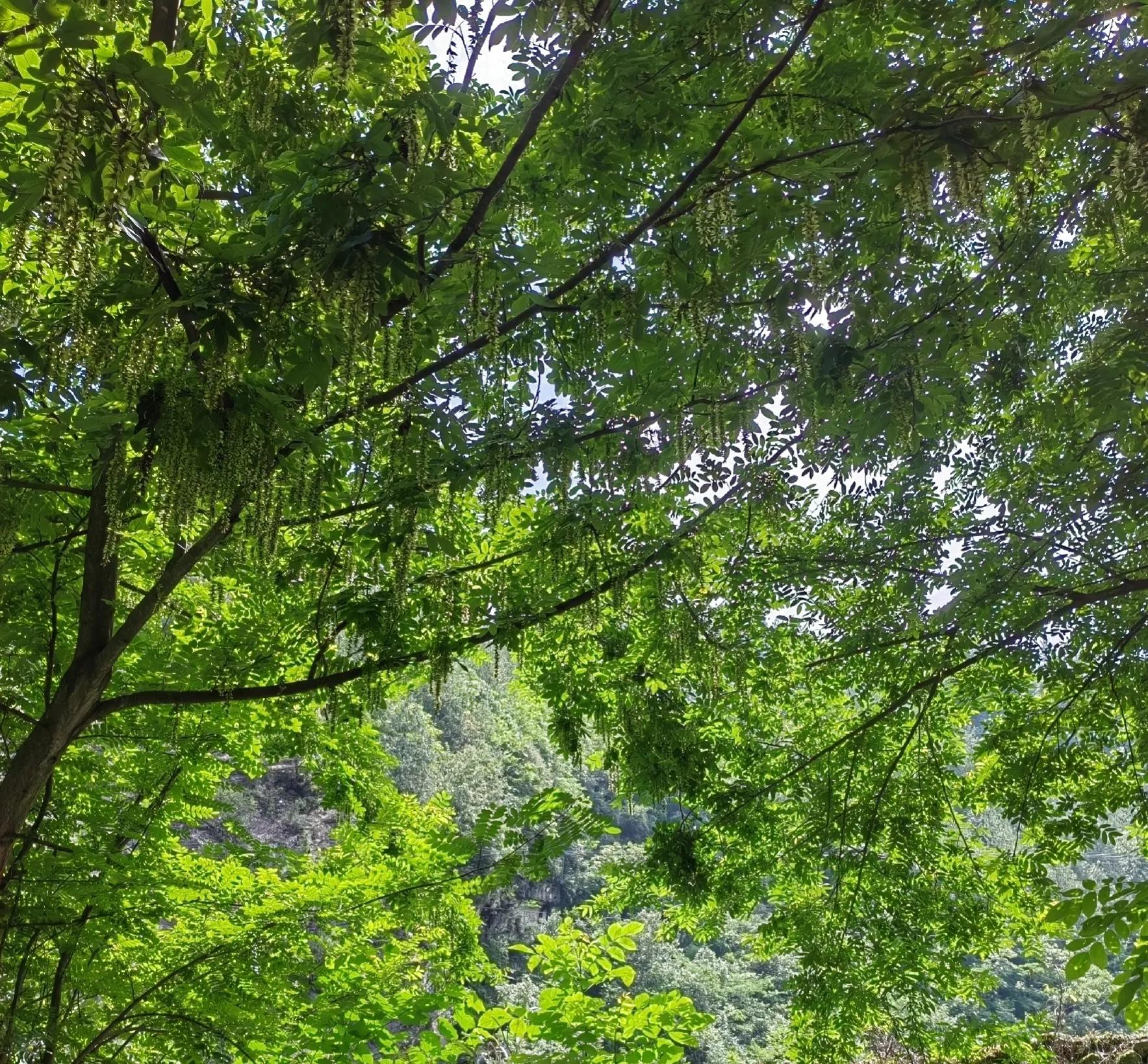 如何提升表达能力让说的话有内涵,真正能说会道会说的说话技巧