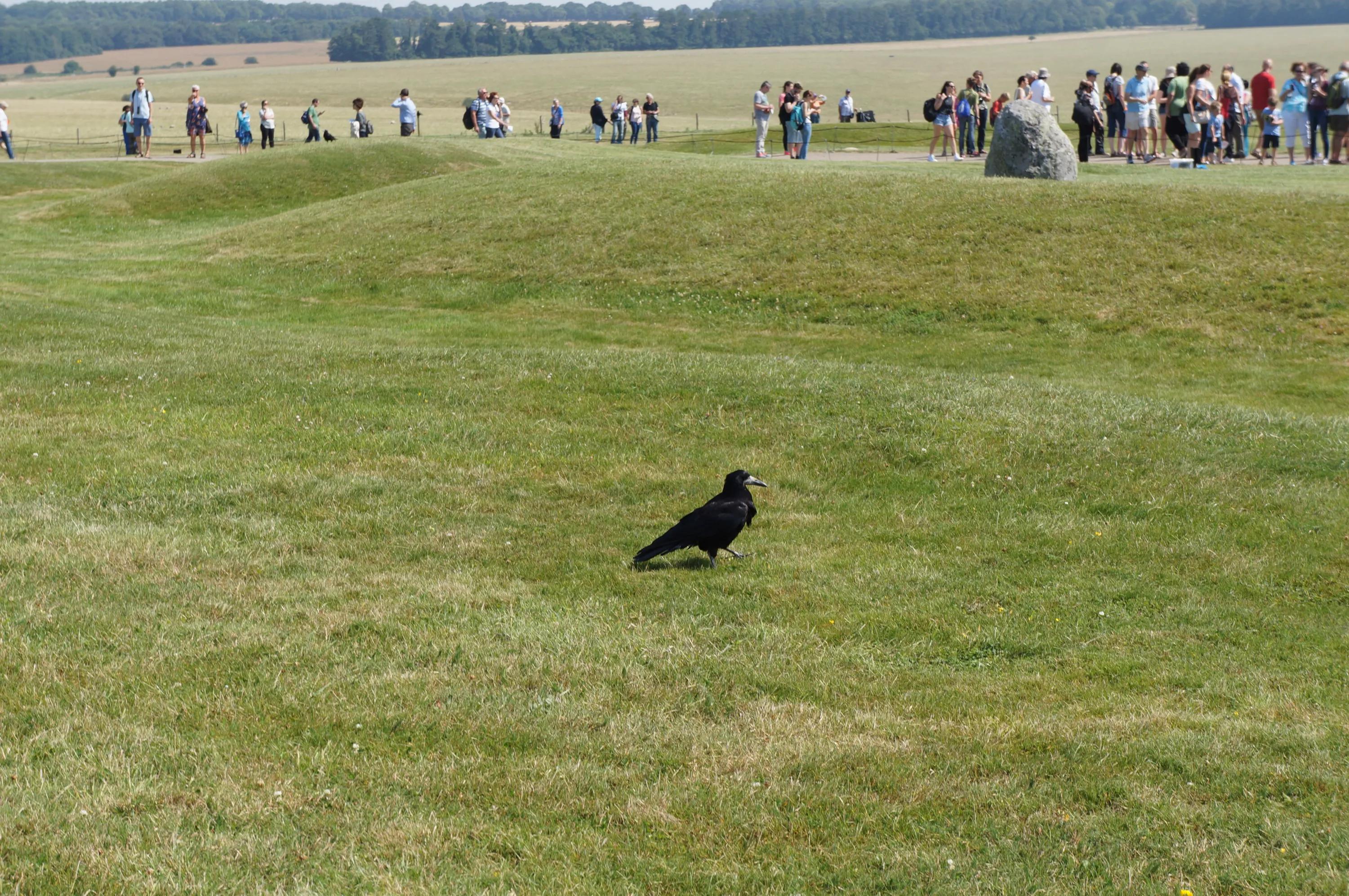 英国之旅完整版,英国巴斯旅游全攻略