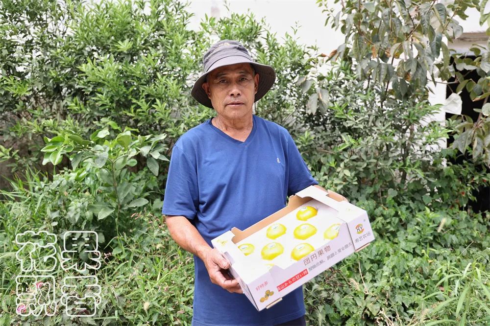 老农告诉大家农作物种植,农资人对农户的忠告