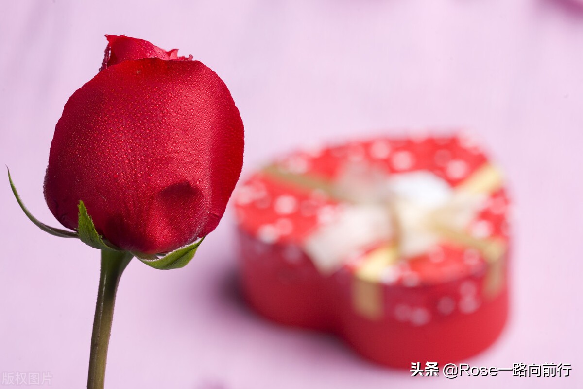 如果有人在大街上扇了我们一耳光，我们该怎么办？