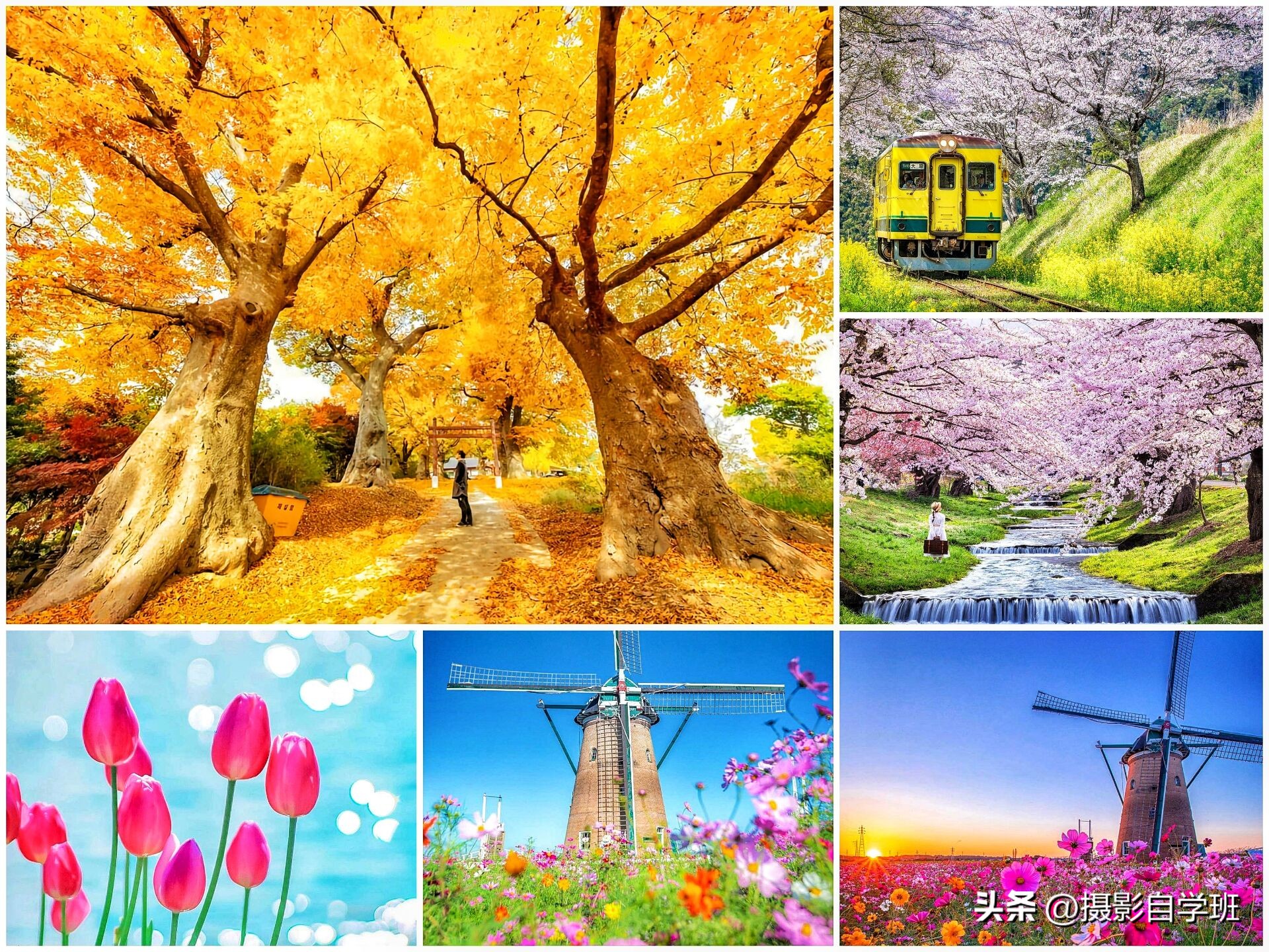 风景手机拍照教程零基础学摄影,新手手机拍照风景技巧