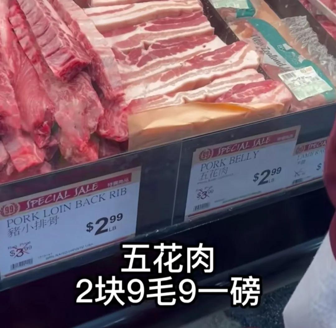 出国黑中介坑打工人的钱,去美国淘金骗局