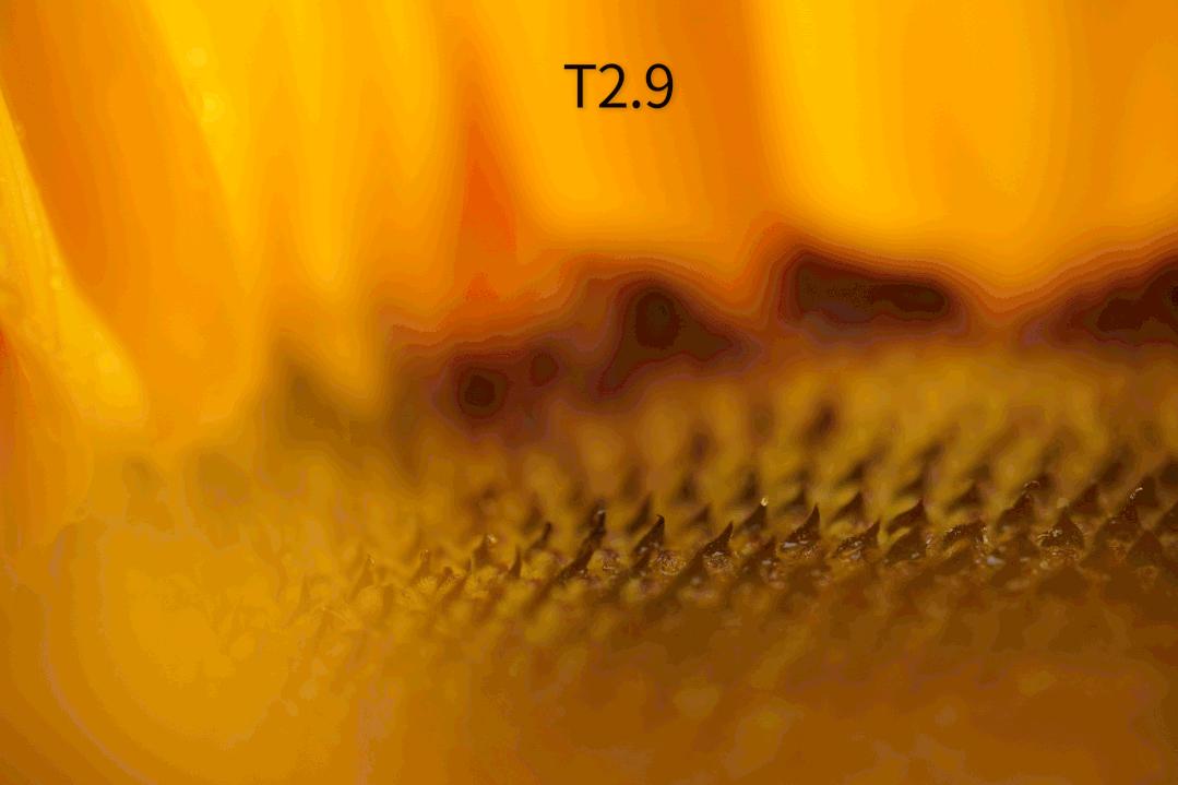 老蛙9mm全画幅镜头评测,老蛙100mmf2.8与2.9微距镜头