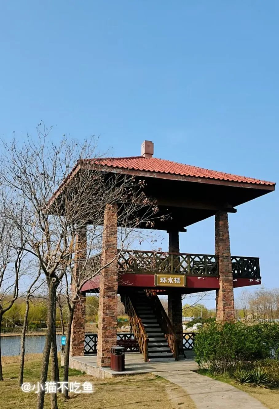 天津遛娃好地方,天津遛娃的免费公园