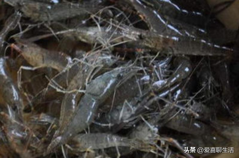 明日五一，有钱没钱记得吃3种时令美食，寓意人财两旺，平安吉祥