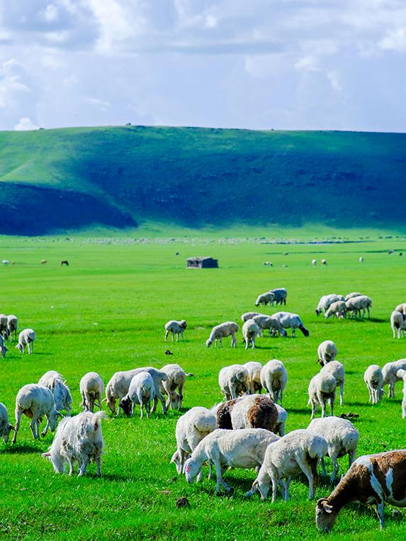 向北向北！|“美”在内蒙古