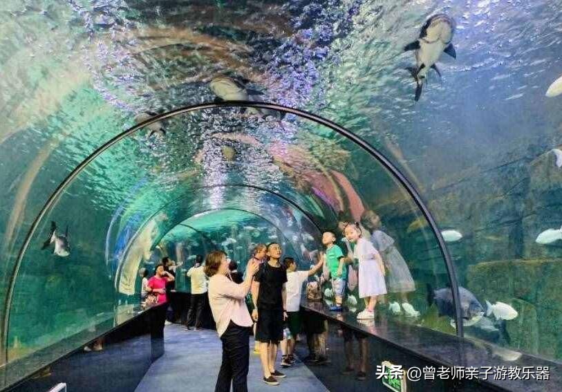 西安亲子游景点大全集,西安游玩攻略景点大全亲子