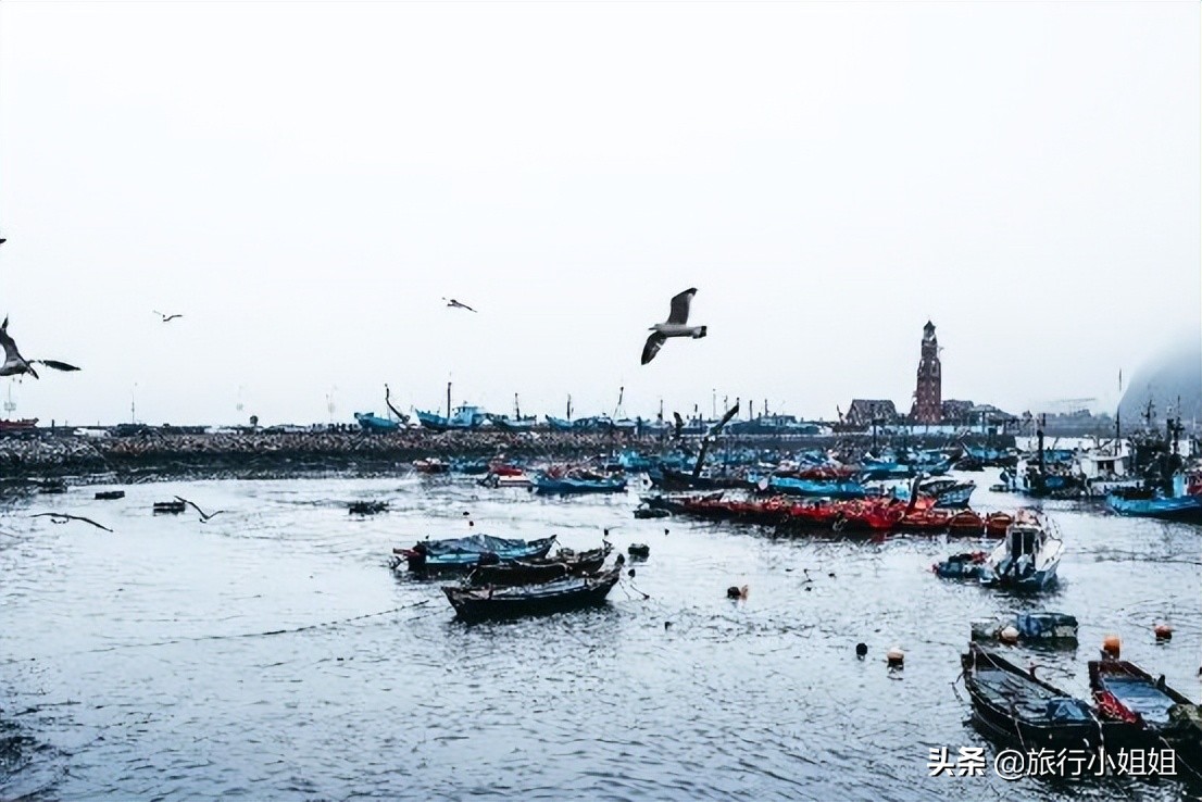 夏日海边浪漫迷人,滨城风光秀丽浪漫气息爆表