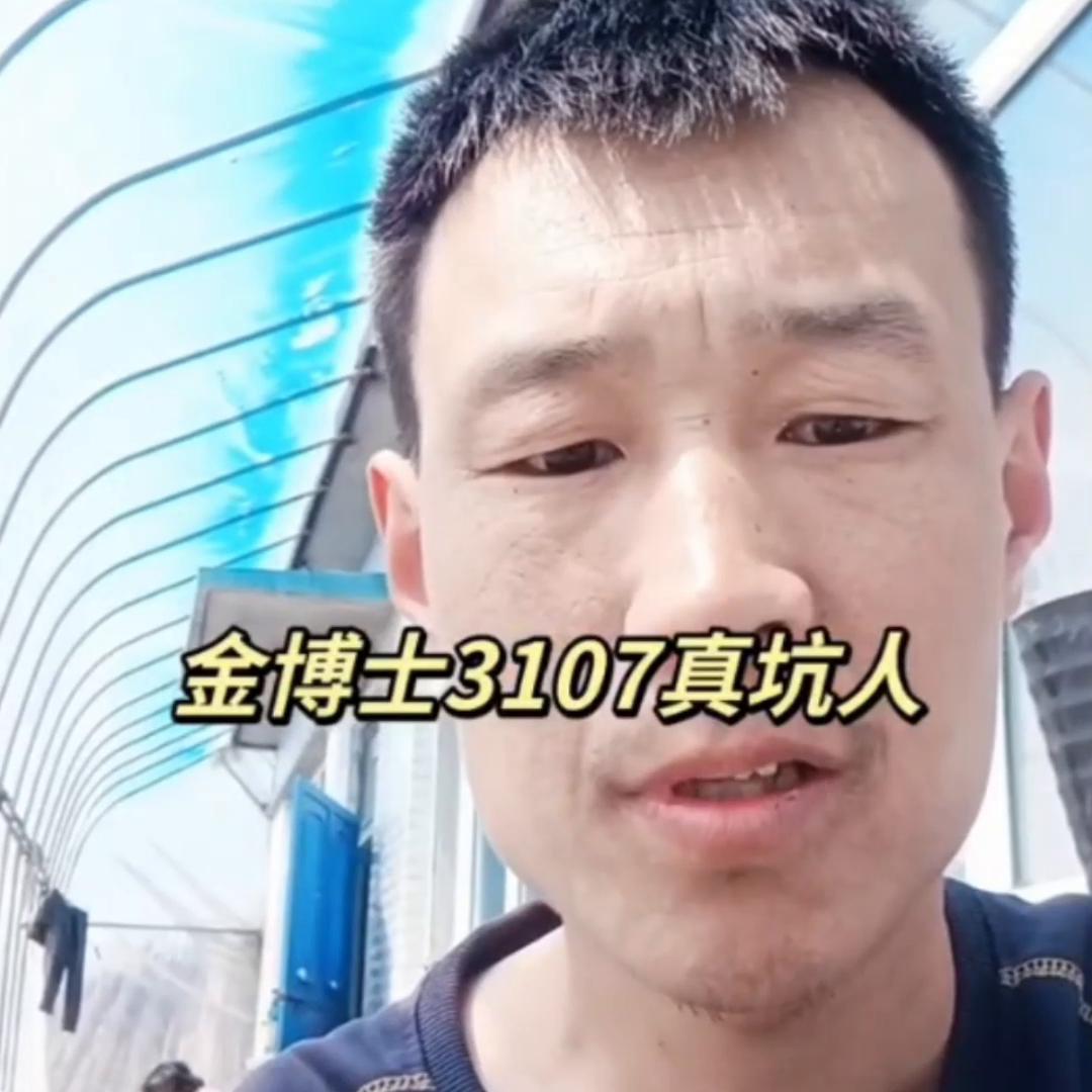 苞米籽的价格是多少,高产苞米籽