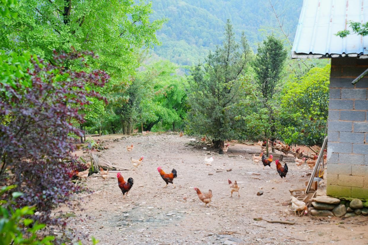 杭州自驾2小时，人间仙境，大美建德，美景美食美宿超实用攻略