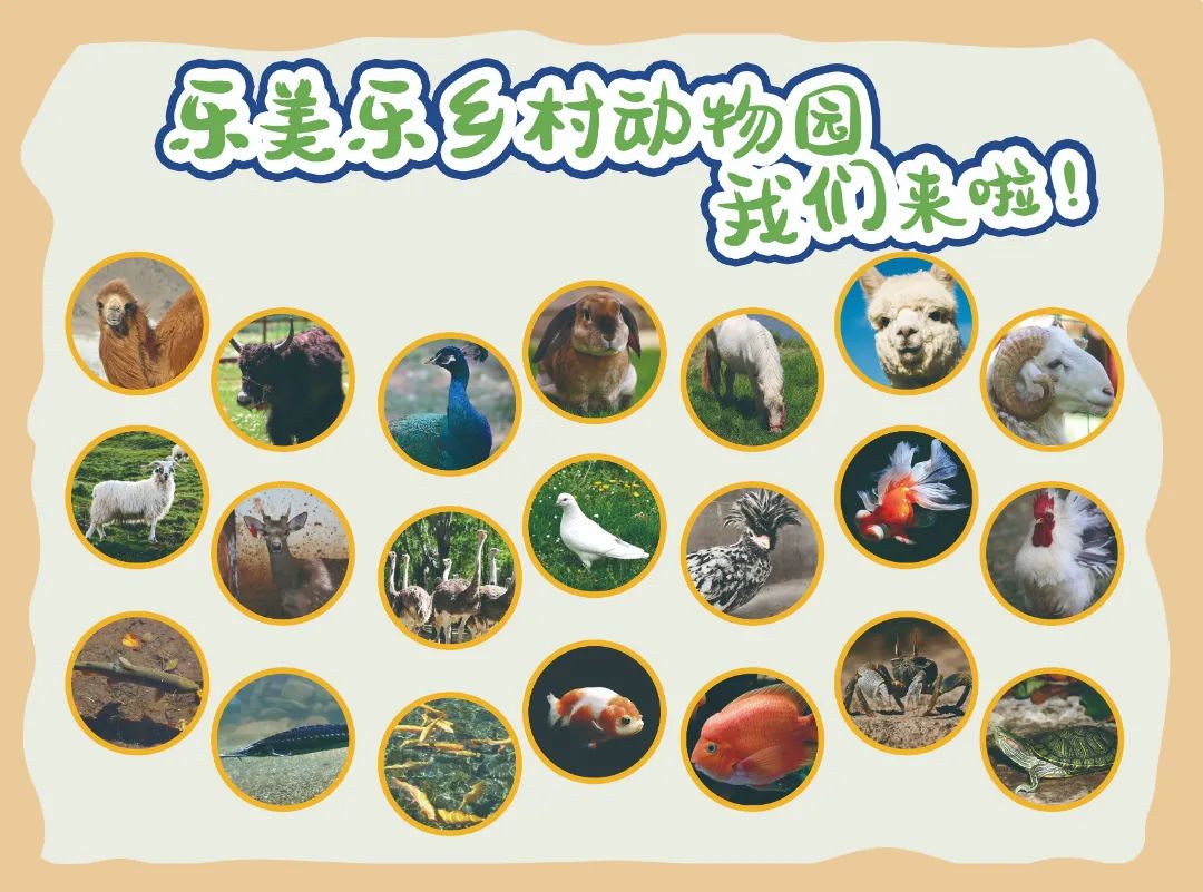 云南六一儿童节旅游攻略,云南适合小朋友旅游的地方