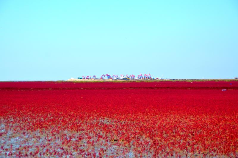 辽宁盘锦在哪个地方,去盘锦旅游哪里好