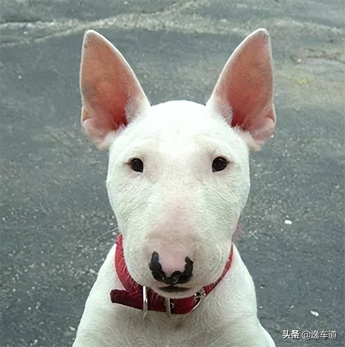 领克06二手车检验,领克06二手车检测