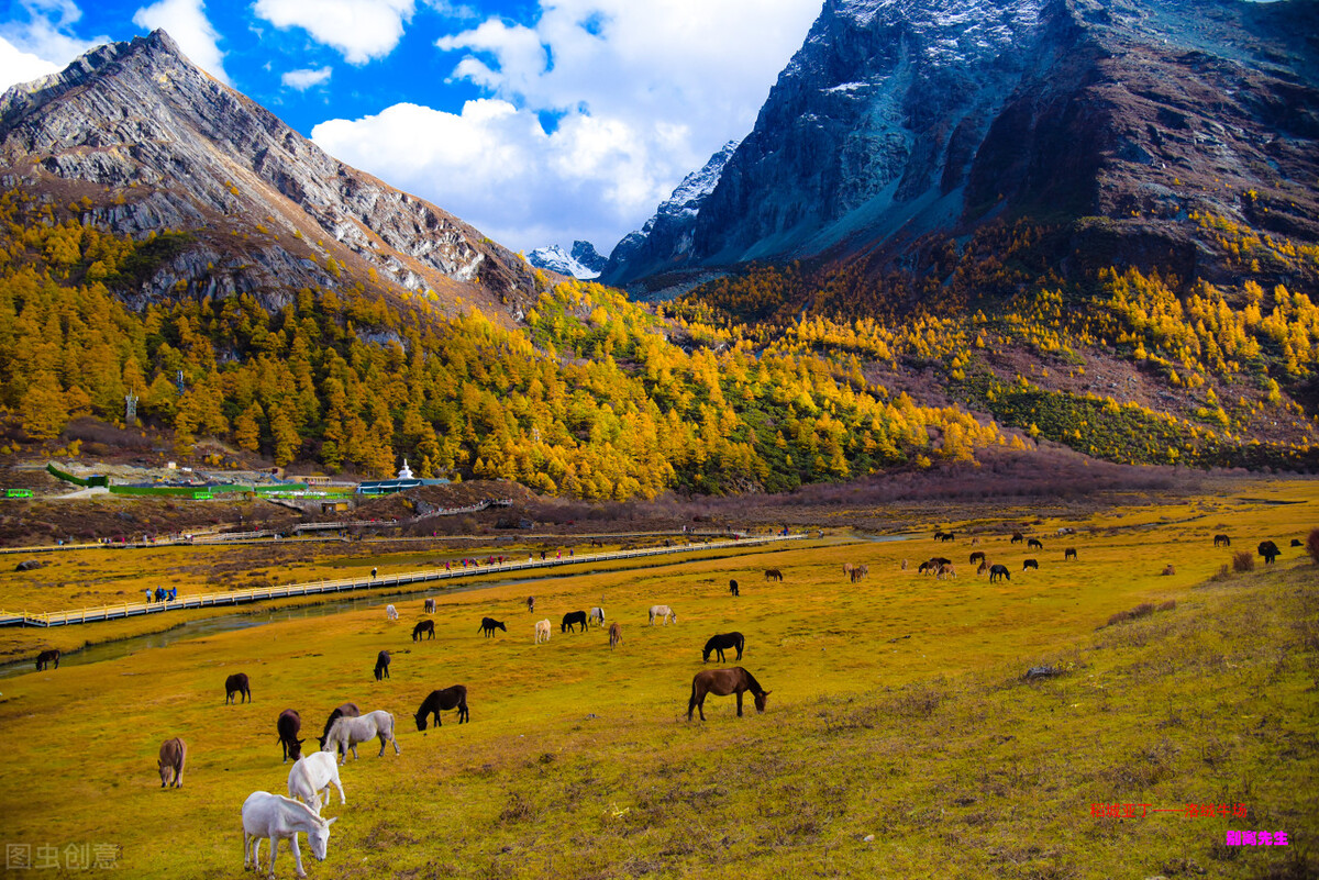 11月份去哪里玩最好玩呢,十一月份秋天适合去哪旅游国内
