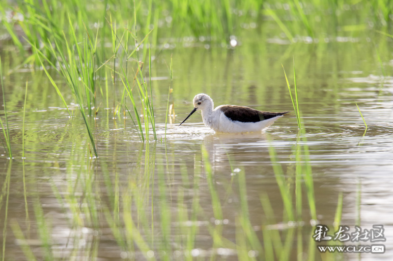 云南昆明生态旅游,昆明官渡区生态文化新城