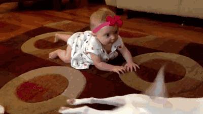 没有责任心？公狗从不抚养自己的“骨肉”，其实有这些原因