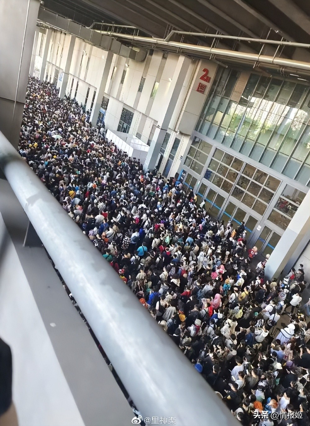 去cp29不会迷路吗,为什么这么多人要去cp29