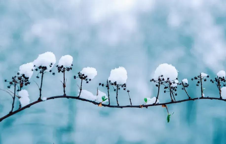 雪的遐想诗歌,乐雪的遐想