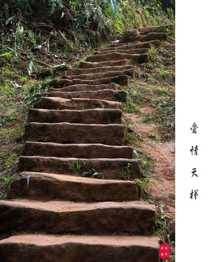 漂亮寡妇偷吃“*果禁**”，携19岁小伙隐居深山50年，创造了人间奇迹