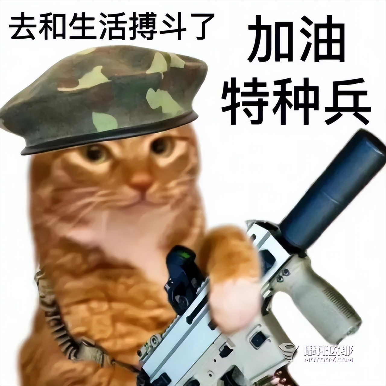 山西暴雨保命指南,焦作版暴雨保命指南