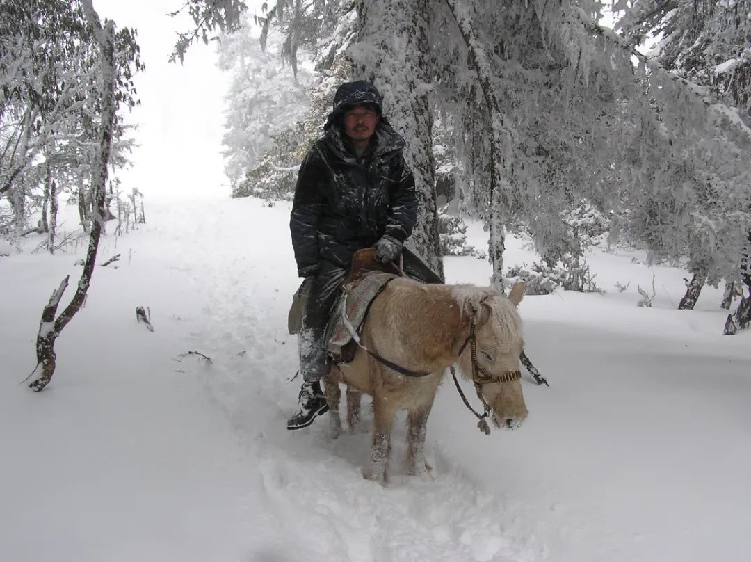 Nature一次又一次发来邀约信，都被他当成学术诈骗邮件……