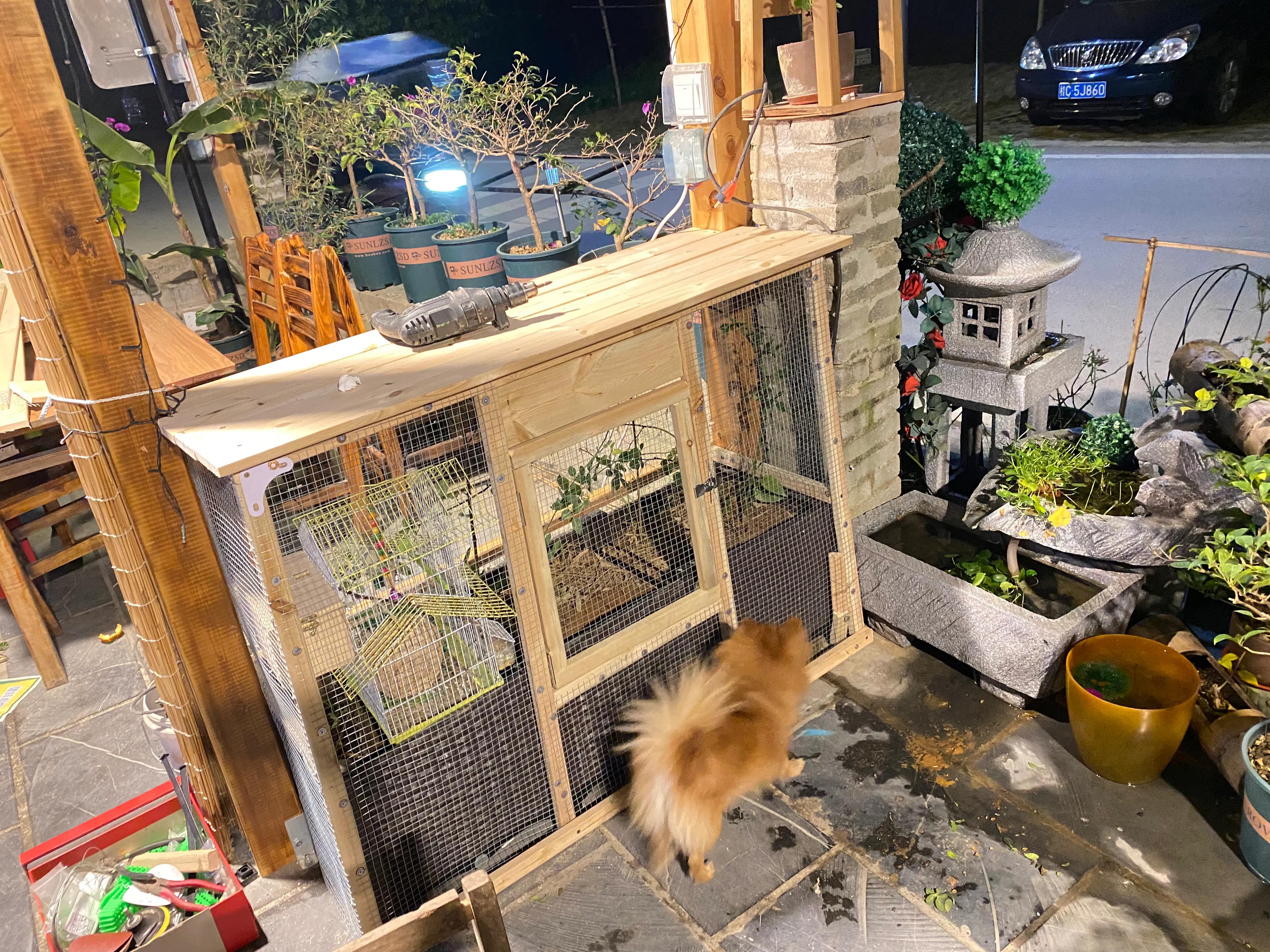 鱼池养金鱼的技巧和方法,小鱼缸养草金鱼的技巧和方法