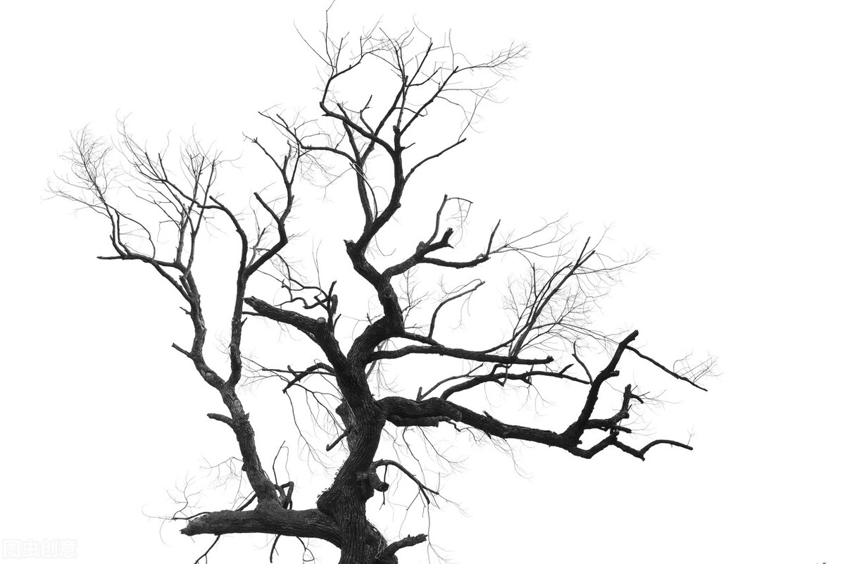 如何让自己减少忧虑,怎么克服内心恐惧和忧虑