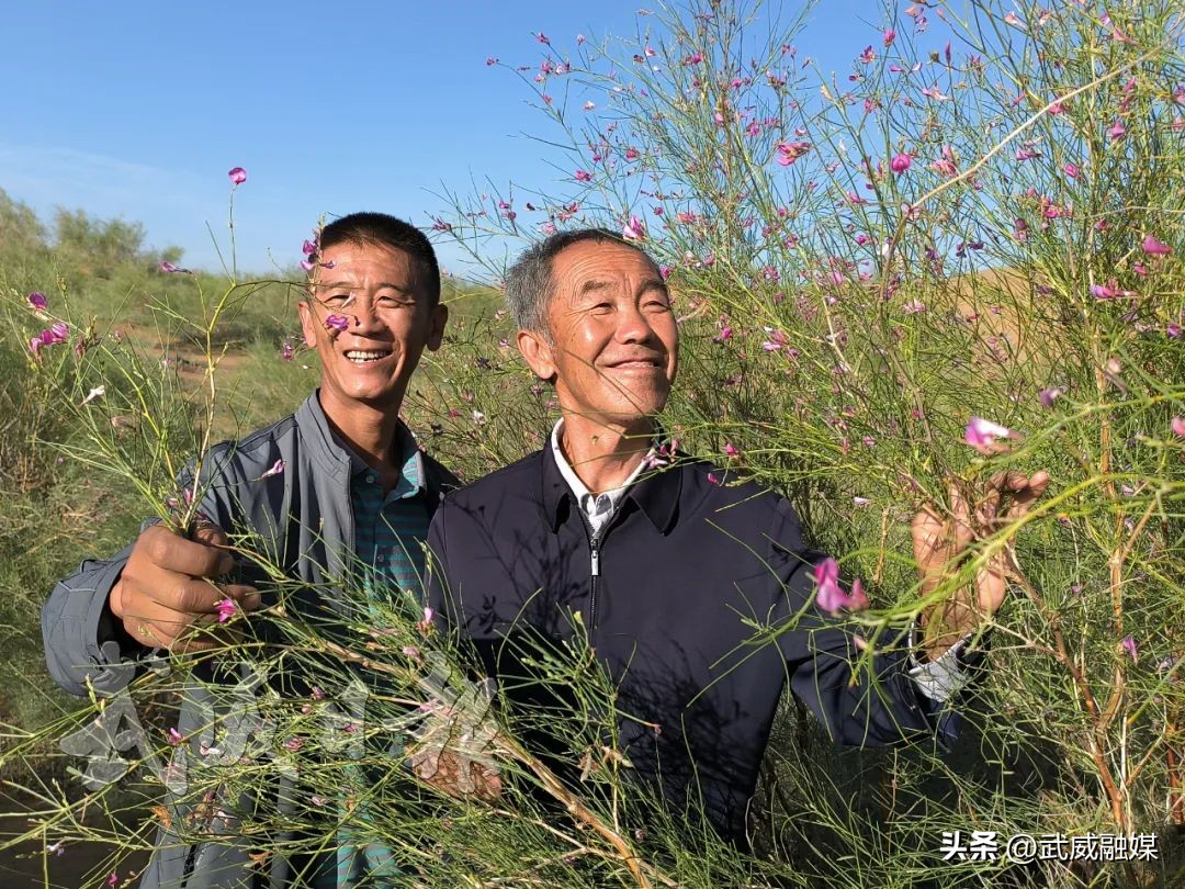 武威市凉州区不忘初心牢记使命,砥砺奋进武威
