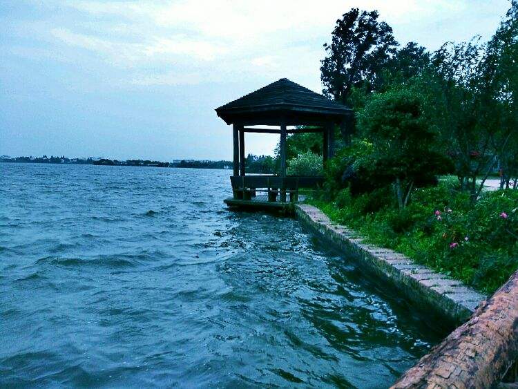 民间故事：唐朝神医治心病