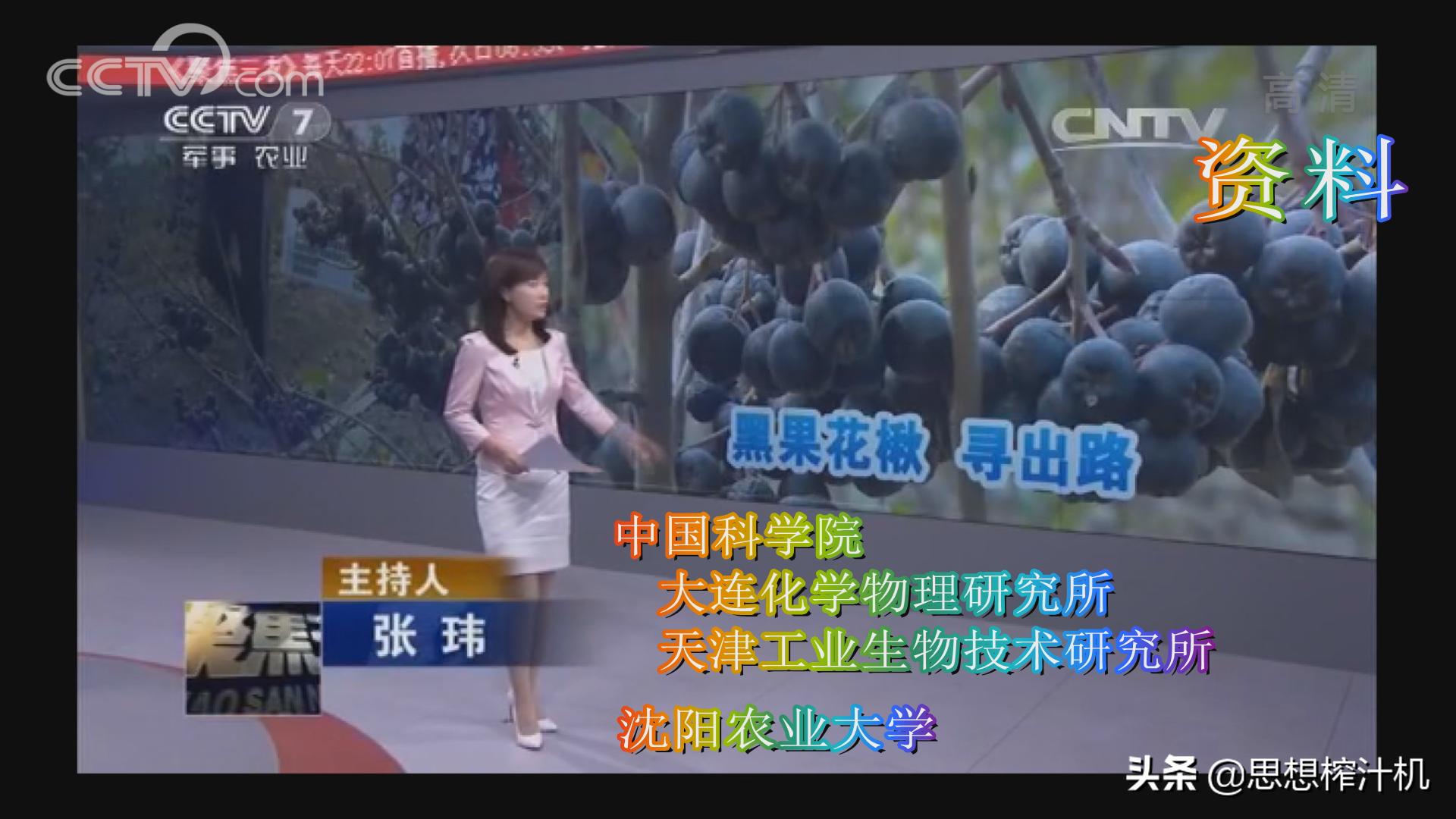 黑果花楸市场前景如何,辽宁黑果花楸苗基地