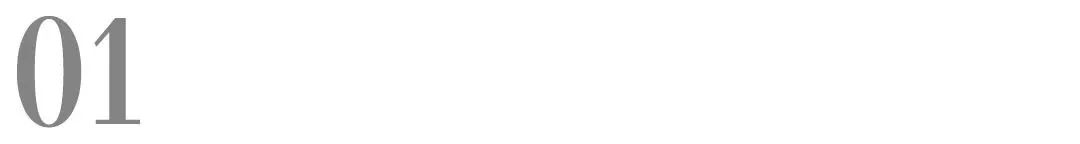 进口冻干犬粮推荐,德国最好的进口犬粮