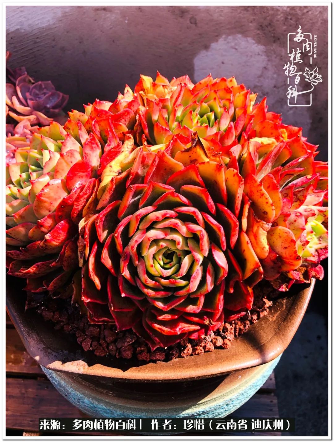 给生命一份淡然还岁月一份从容,给生命留一份洒脱的话