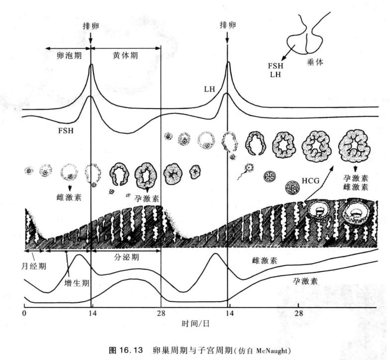 陈阅增普通生物学第五版与第四版,陈阅增普通生物学第4版课后答案
