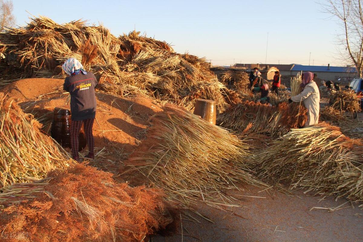 农民工资收入调查报告,农村人均收入统计调研