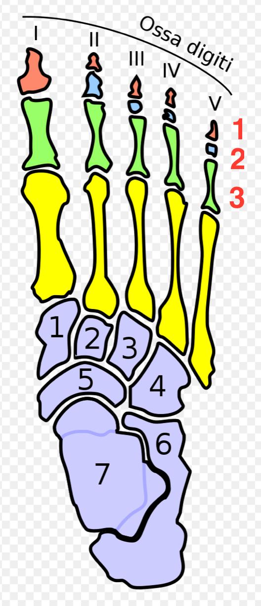 中国人应该知道的冷知识,中国人哭笑不得的常识