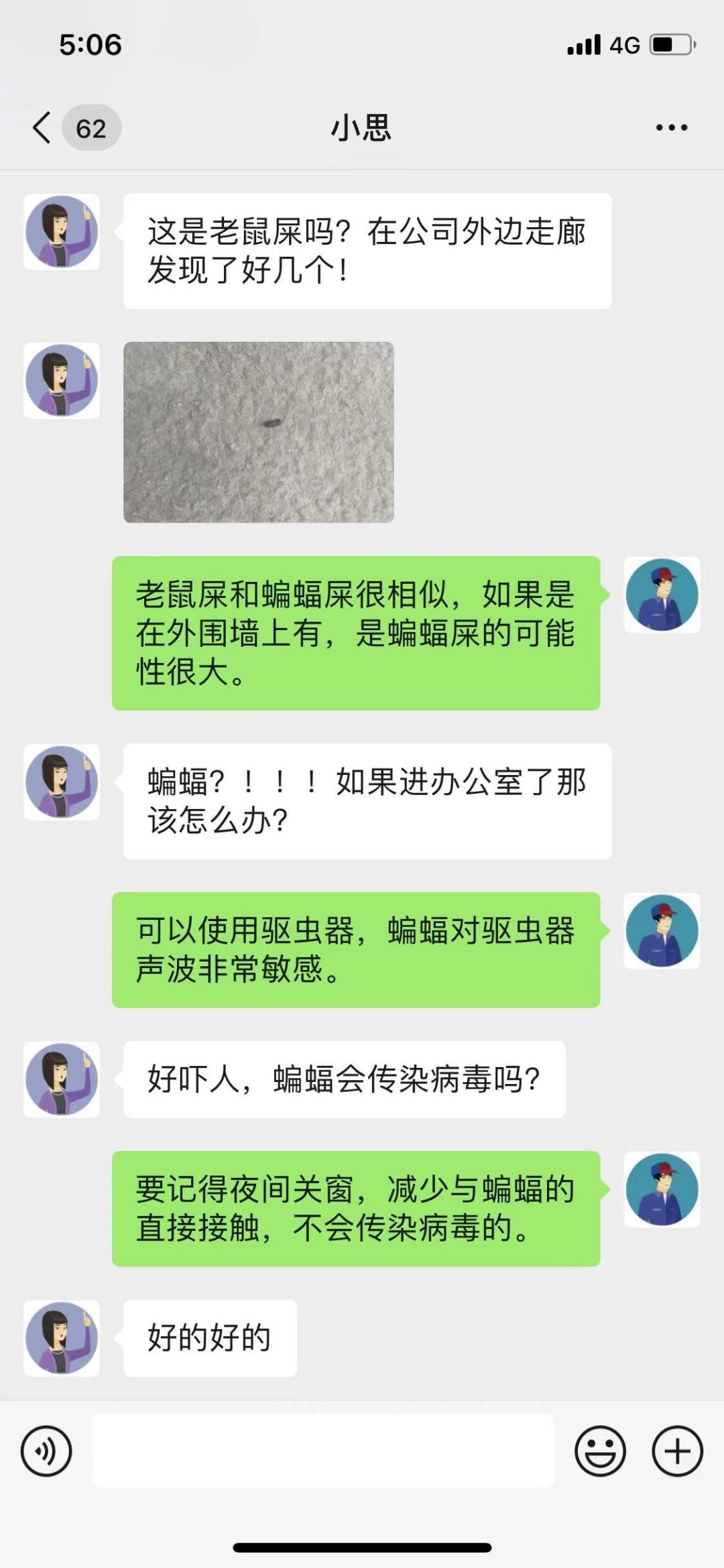 蝙蝠象征吉祥,蝙蝠为什么是邪恶的象征