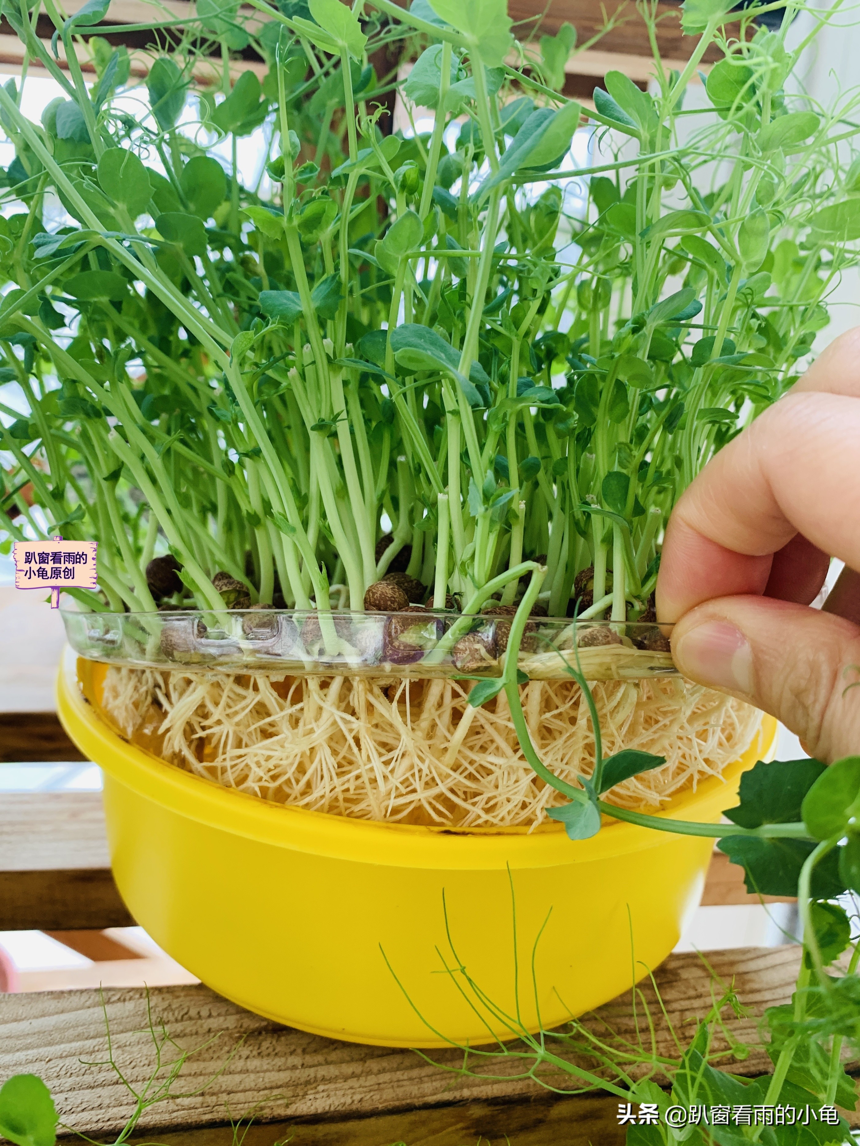 家有余粮，遇事不慌！收好10种生活必要的物资，这3件事也做起来