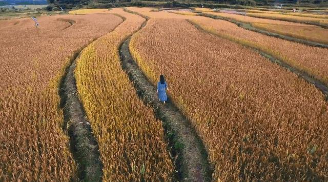 破旧老房田园生活,一家5口蜗居北京17平米改造后