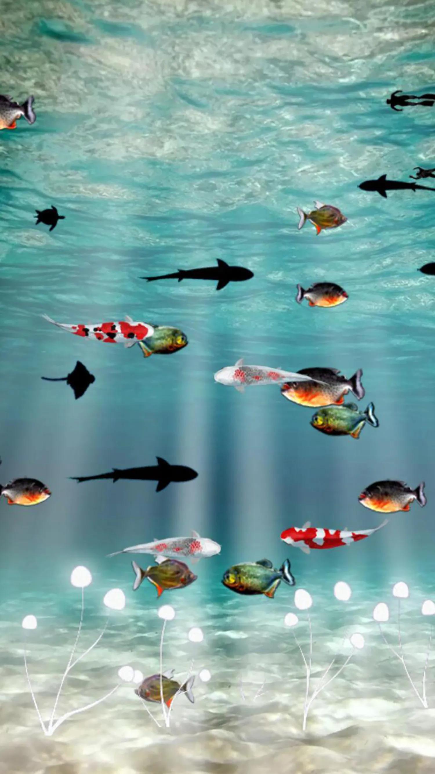 蓝色海景壁纸图片大全,海景壁纸4k超清全面屏