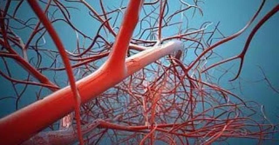 核桃适合什么体质的人吃,核桃是补肾的还是补脑